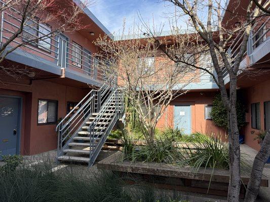 Community Acupuncture