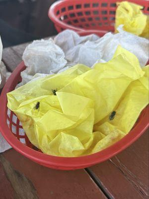 The Golden Light Cantina