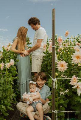 Tohar OG Photography