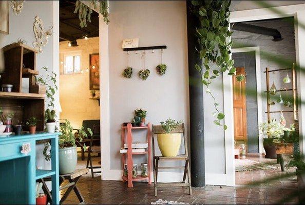 Photo by Farm and Forest