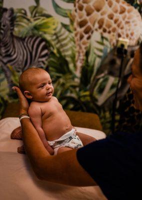 The Good Life Family Chiropractic Centre