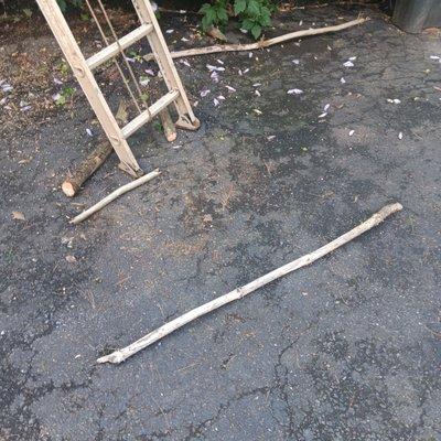 Family Landscaping & Tree Service