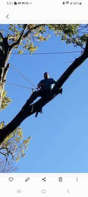 Howard Tree Service And Landscaping