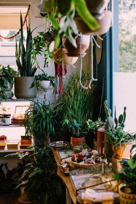 Levity Health Market