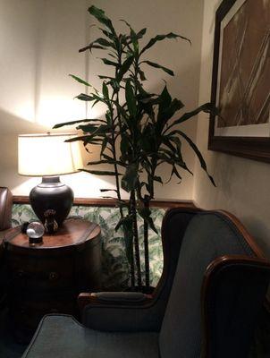 Alireza Moshaverinia, DDS - Encino Advanced Dentistry