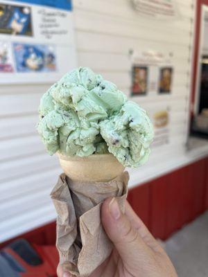 The Outflow Soft Freeze