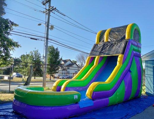 Bing's Backyard Bash