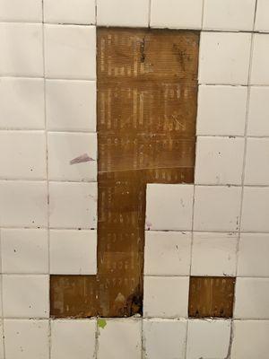 Shower tile