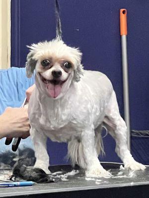 Walton’s Pet Parlor