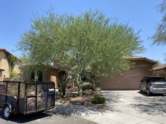 Starlight Landscaping