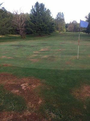 Wilderness Valley Black Forest Golf