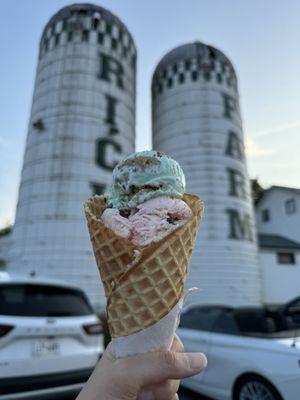 Rich Farm Ice Cream Shop