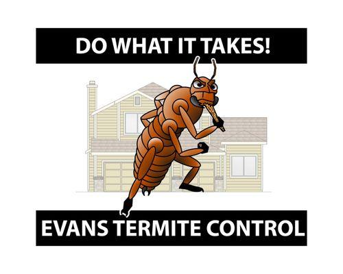 Evans Termite