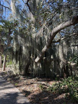Yamato Scrub Natural Area