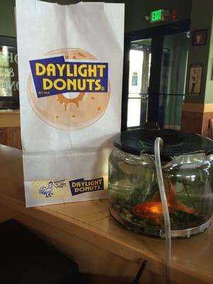 Daylight Donuts
