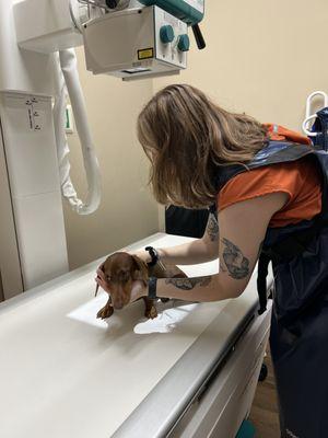 Plantation Animal Clinic