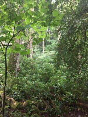 Grindstone Campground