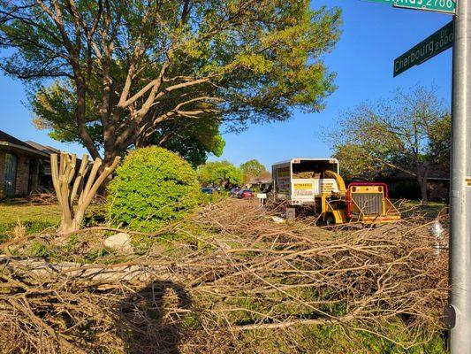 Hernandez Tree Service
