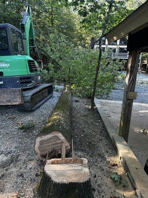 McCool Tree Services