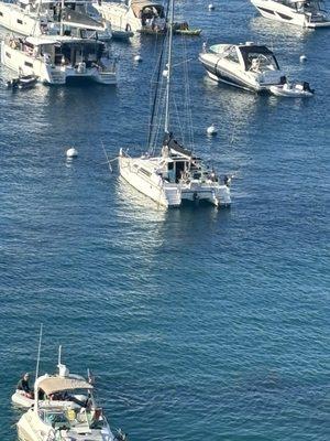 Trip to Catalina island a success because of Palmer Power!!