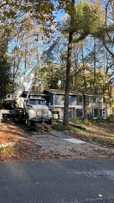 Redwood Landscaping & Tree Service