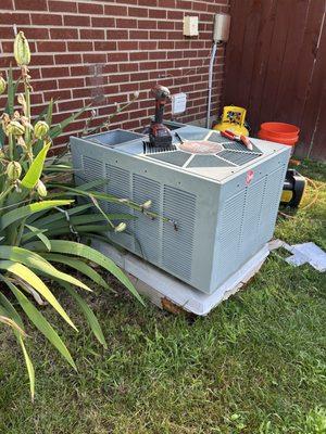 23 yr old Rheem Hope the Goodman last close to that.