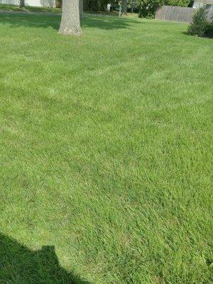 All Around Landscaping