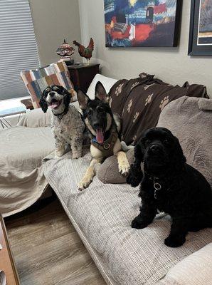 ParkView Animal Hospital