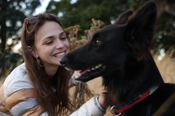 Rebecca Frank Dog Training