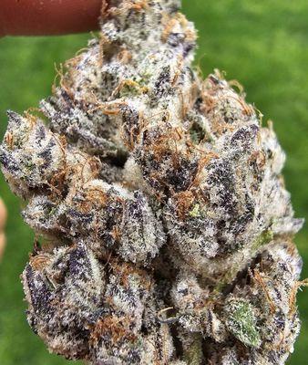 White dream TOPSHELF
