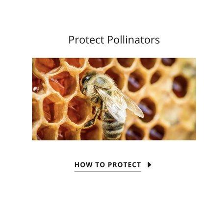 One Earth Pest Control