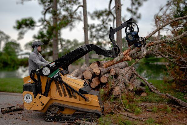Durham Parkers Tree Service