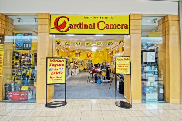Cardinal Camera