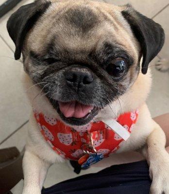 Al Miller & Sons Roofing Co., Inc.