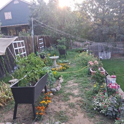 Exceptionally Rich Services