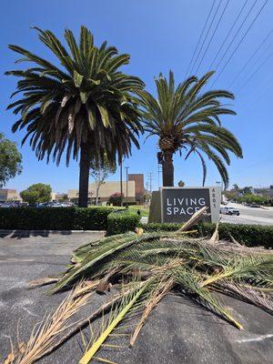 Eureka Floriculture & Installation