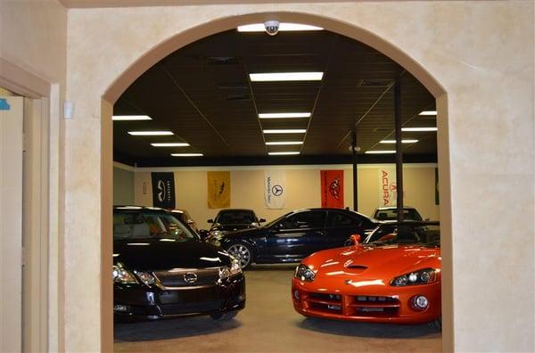 Tampa Bay Auto Network