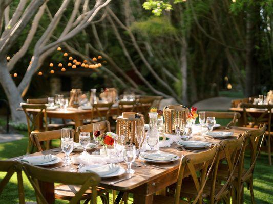 Sandra Yvette Photography