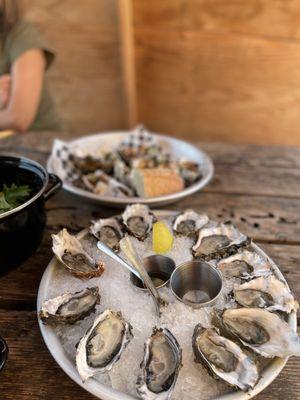 Hama Hama Oyster Saloon