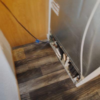 Clara's Girls Cleaning