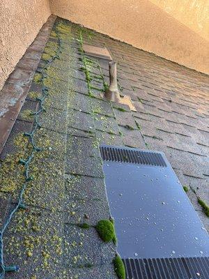 Roof cleaning (before)