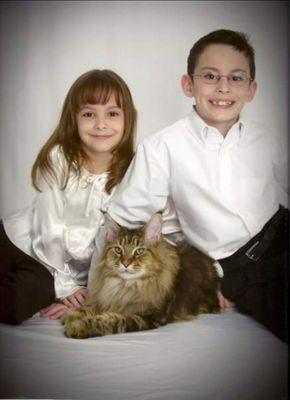 Paws~N~Time Maine Coons