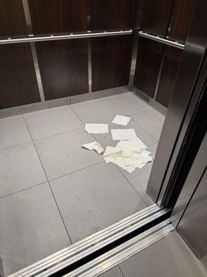 Dog pee and garbage in elevator