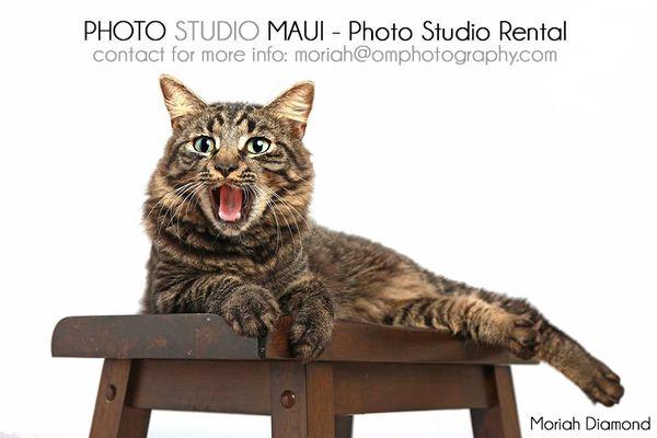 Photo Studio Maui