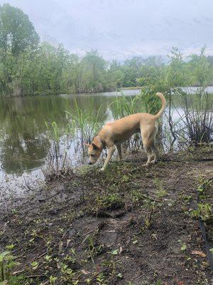 Buhlow Lake Recreation Area