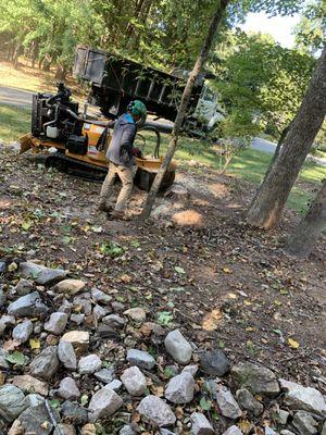 TLG Tree Service