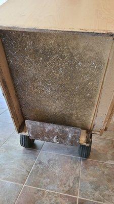 Angela Thompson Group