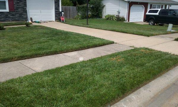 Royalty Cuts and Services