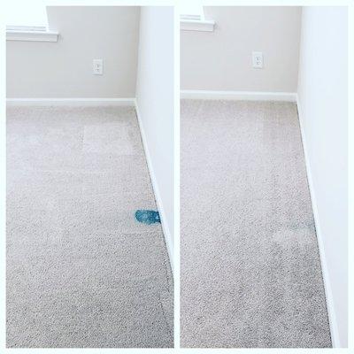 Spotless Clean and Carpet Care