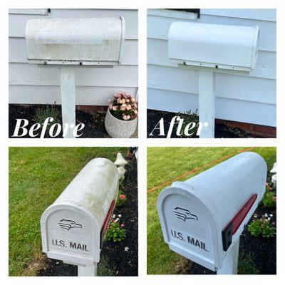 A P Softwash & Pool Service